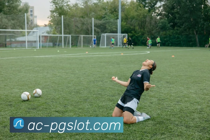 PG电子官网APP 封面图